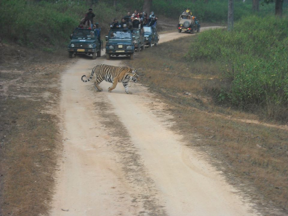 Kanha Adventure Trail